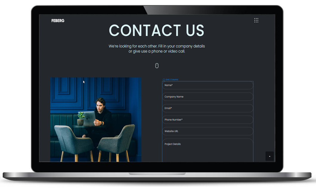 FEBERG contact and project brief form
